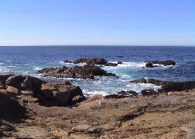 Point Lobos Coast